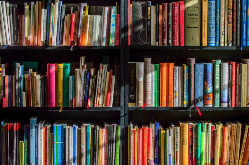 vente-TOUET DE L ESCARENE-min_books_bookstore_book_reading_shop_writer_sale_books_read-822866